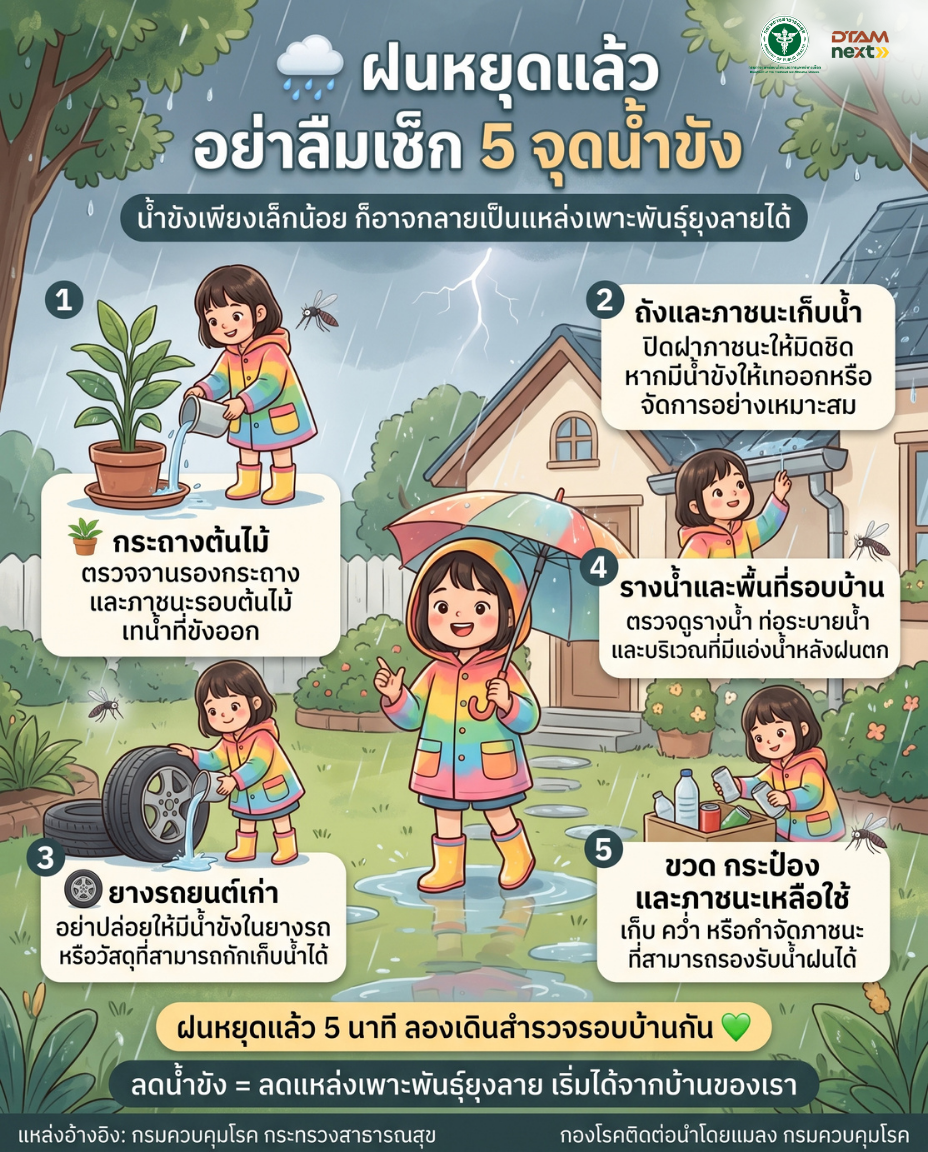 🌧️ ฝนหยุดแล้ว…แต่ภารกิจยังไม่จบ! 🦟👀